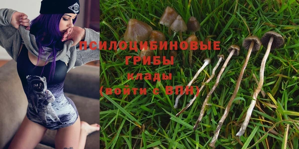 соль курить ск Богородск