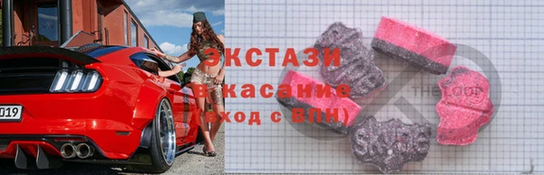 гидра Богданович