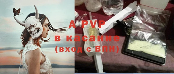 гидра Богданович