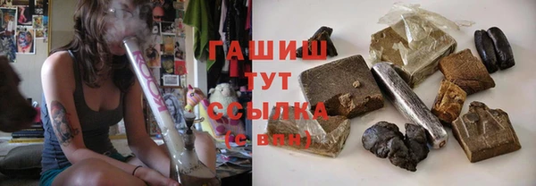 гидра Богданович