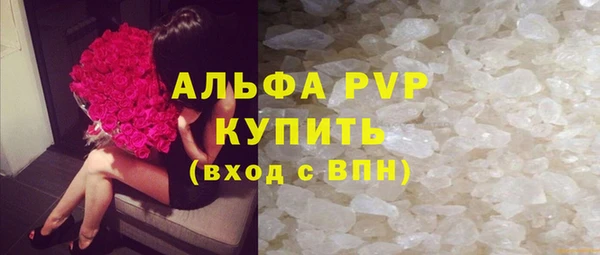 гидра Богданович