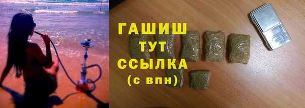 гидра Богданович