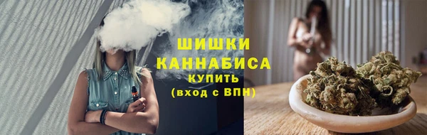 гидра Богданович