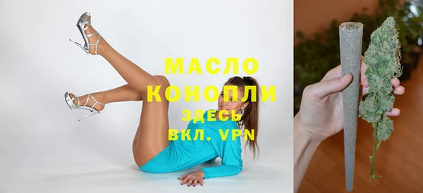 гидра Богданович
