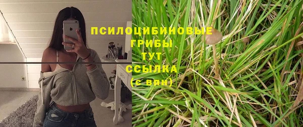 соль курить ск Богородск