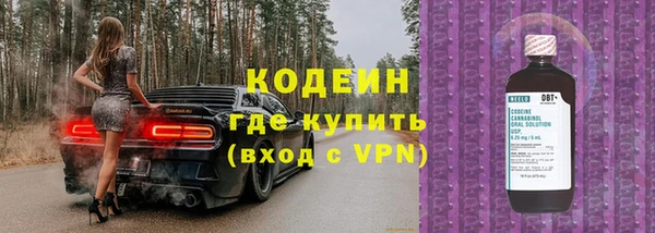 гидра Богданович