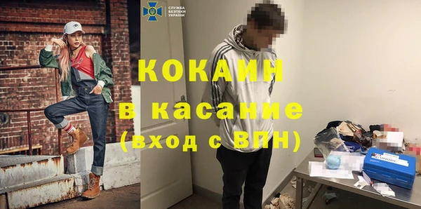 гидра Богданович