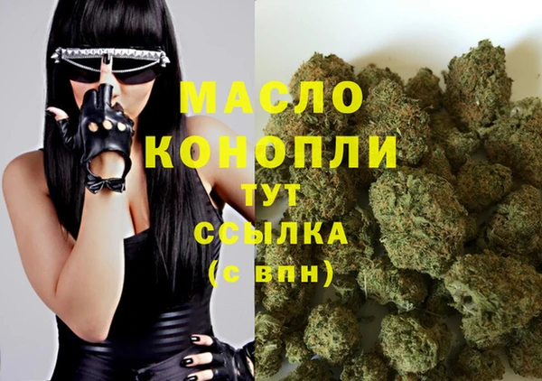 гидра Богданович