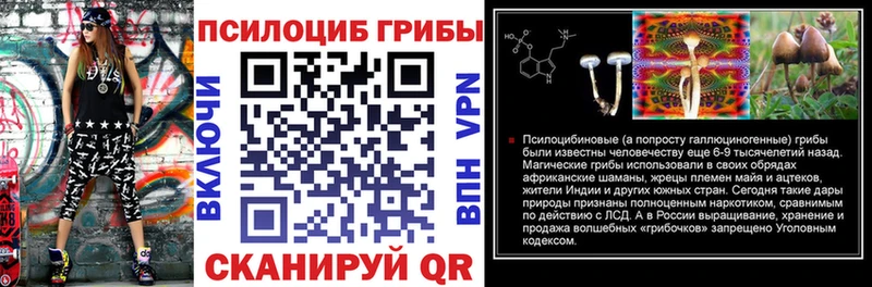 Купить где  Гатчина  Галлюциногенные грибы GOLDEN TEACHER 